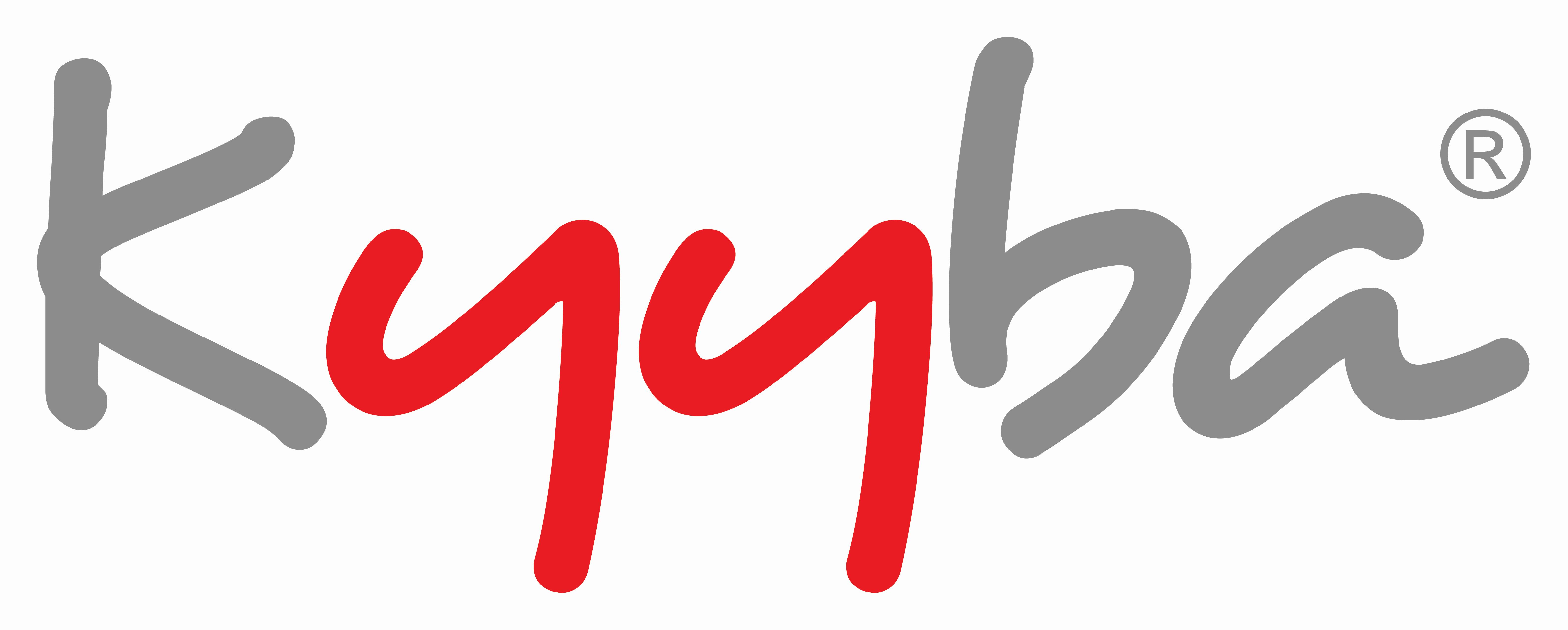 Kyyba, Inc. logo