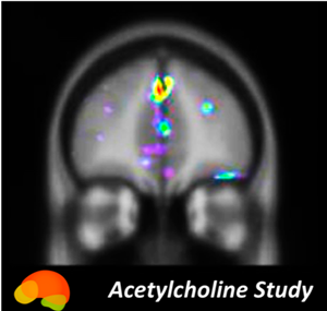 Acetylcholine study logo